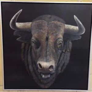 Cuadro Toro
